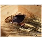 pochette friandises harnachement chocolat 3
