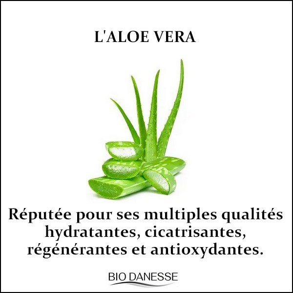 l-aloe-vera-pour-la-peau
