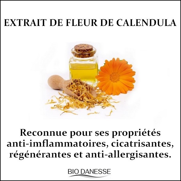 extrait-de-fleur-de-calendula-pour-la-peau