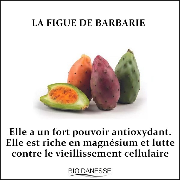 figue-de-barbarie-pour-la-peau