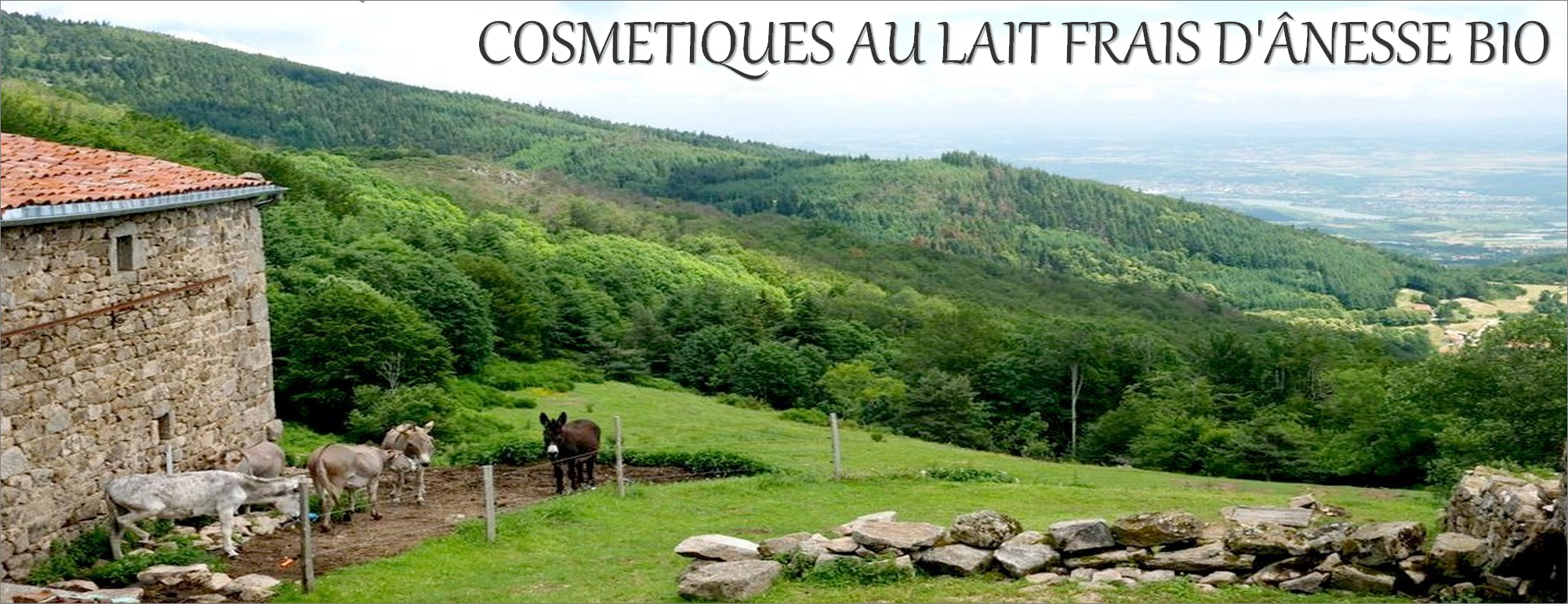 Accueil bio Danesse