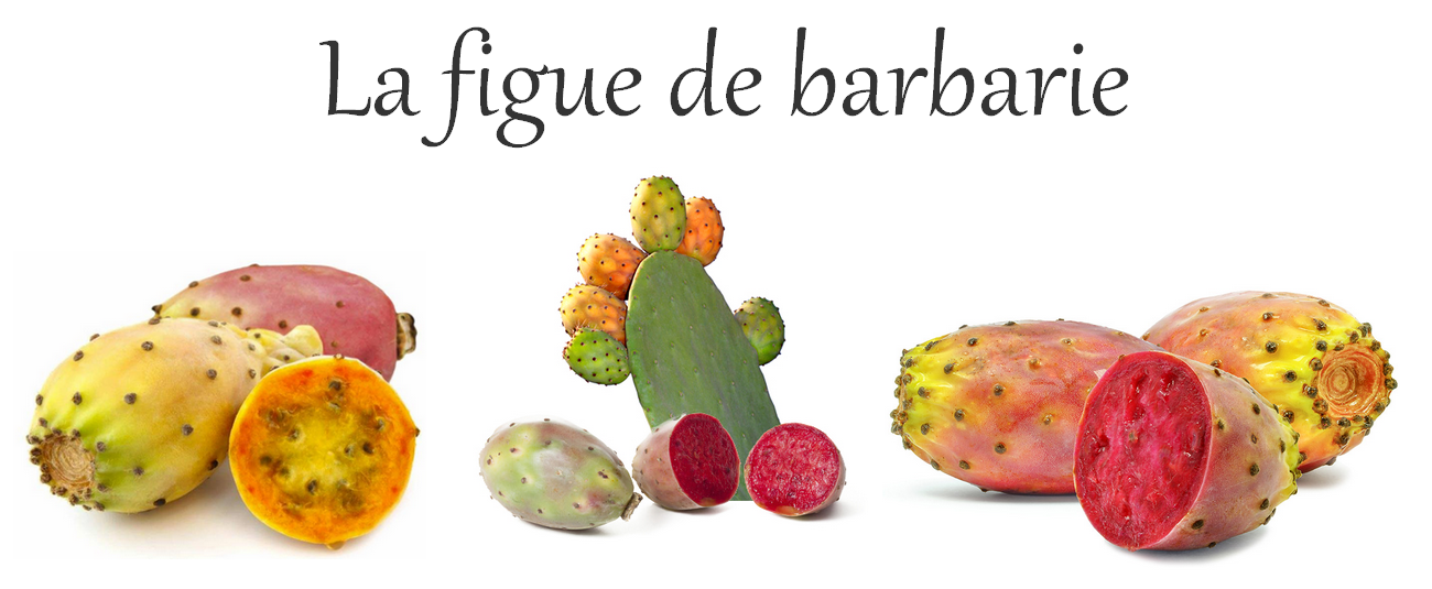 EN SAVOIR +
