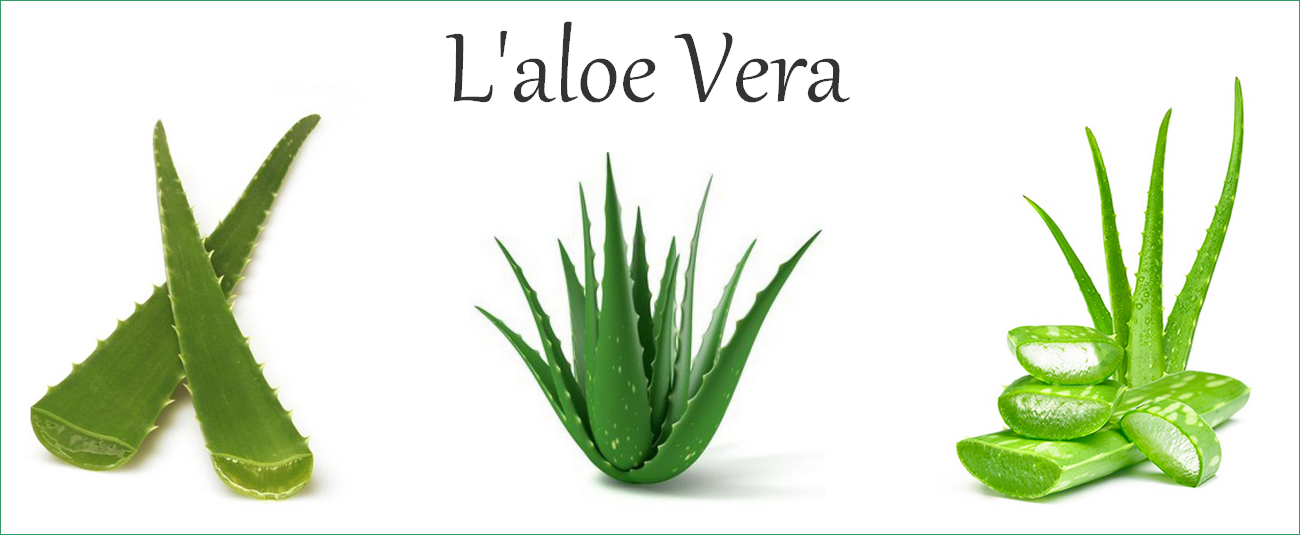 En SAVOIR +