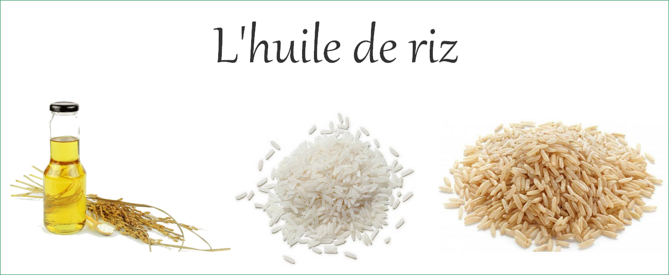 Découvrez tous nos principes actifs et leurs bienfaits