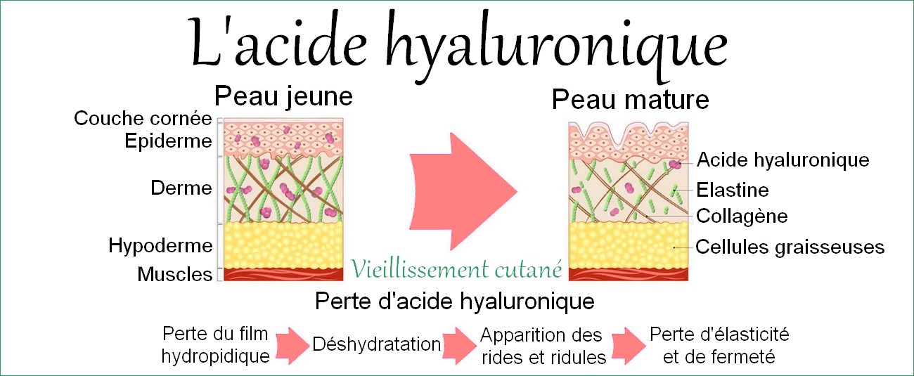 En savoir +