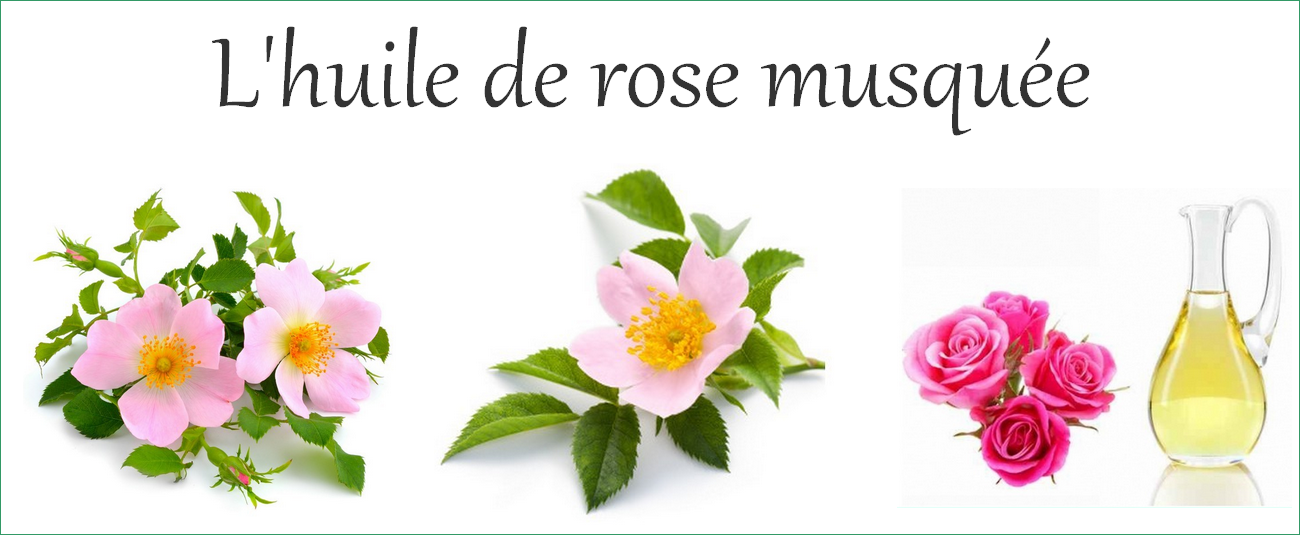 En savoir +