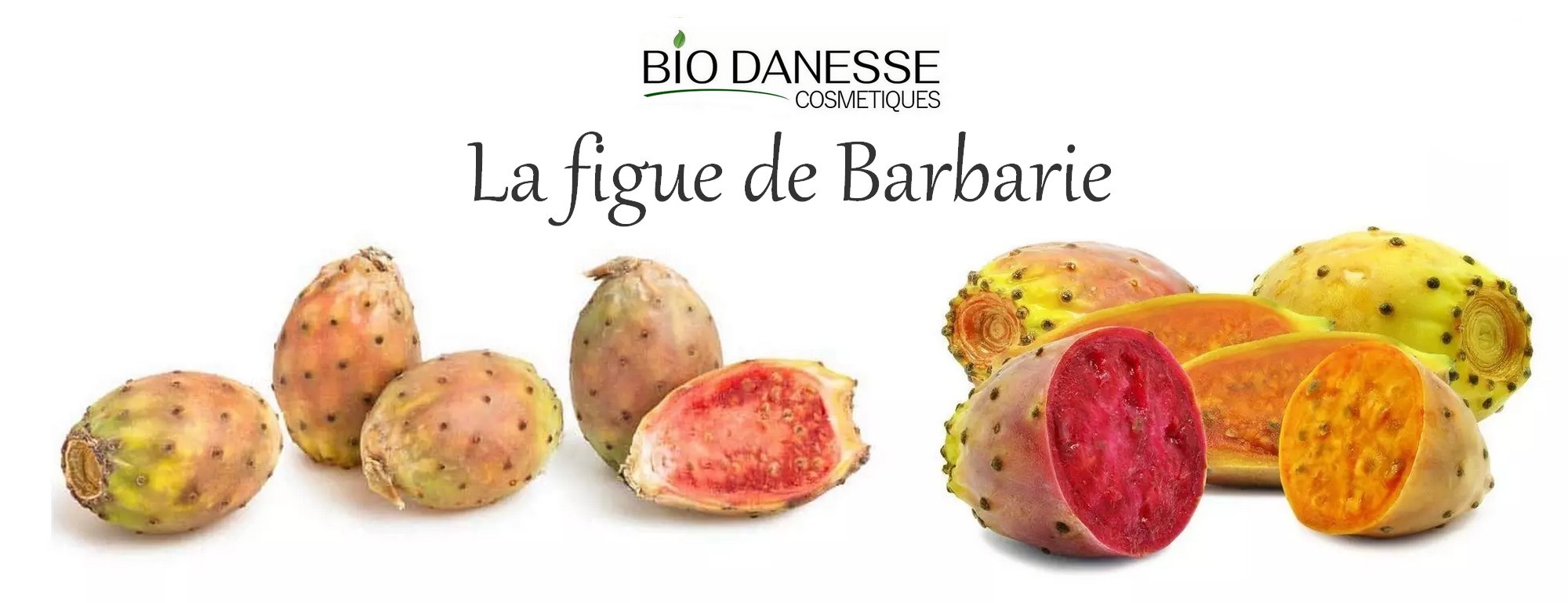 figue de barbarie bio danesse