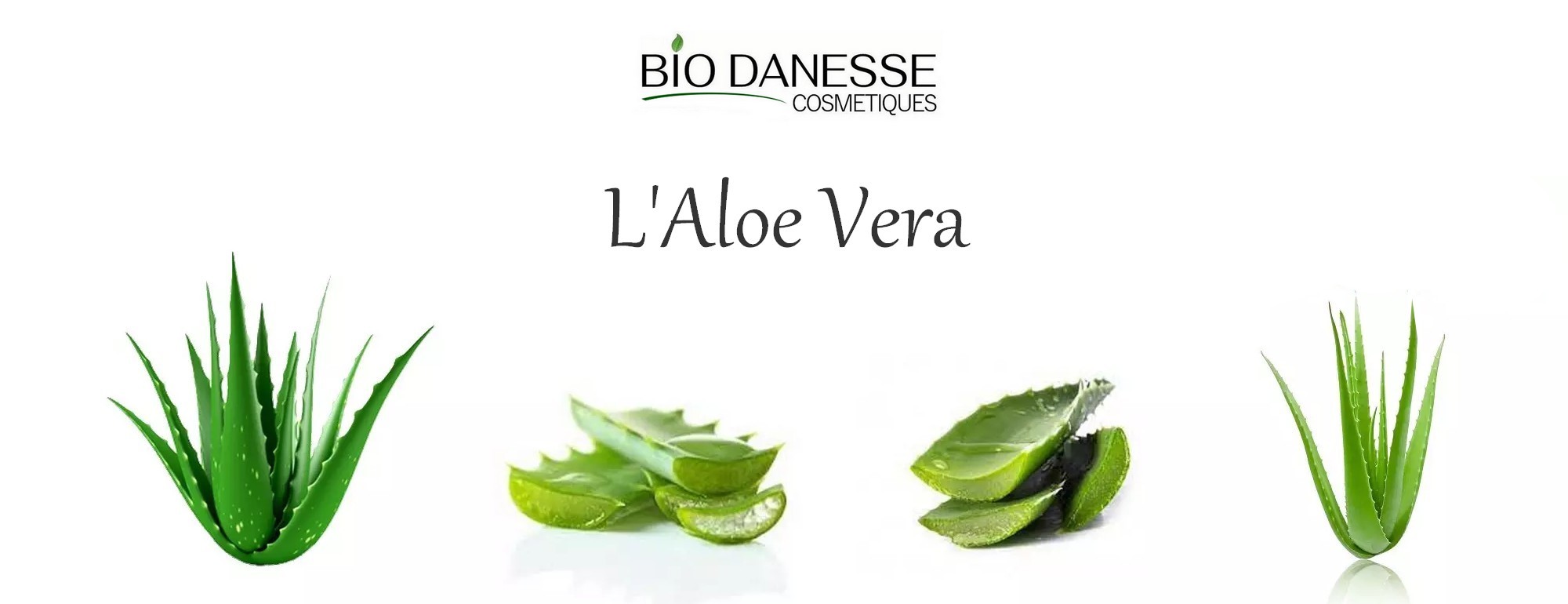 aloe vera bio danesse