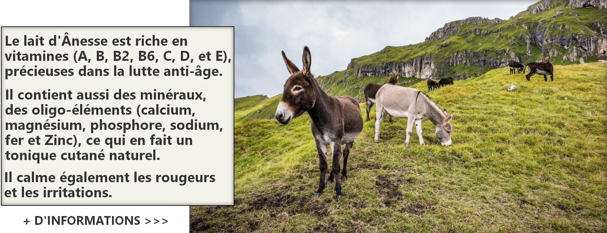 Pourquoi le lait d'ânesse ? 