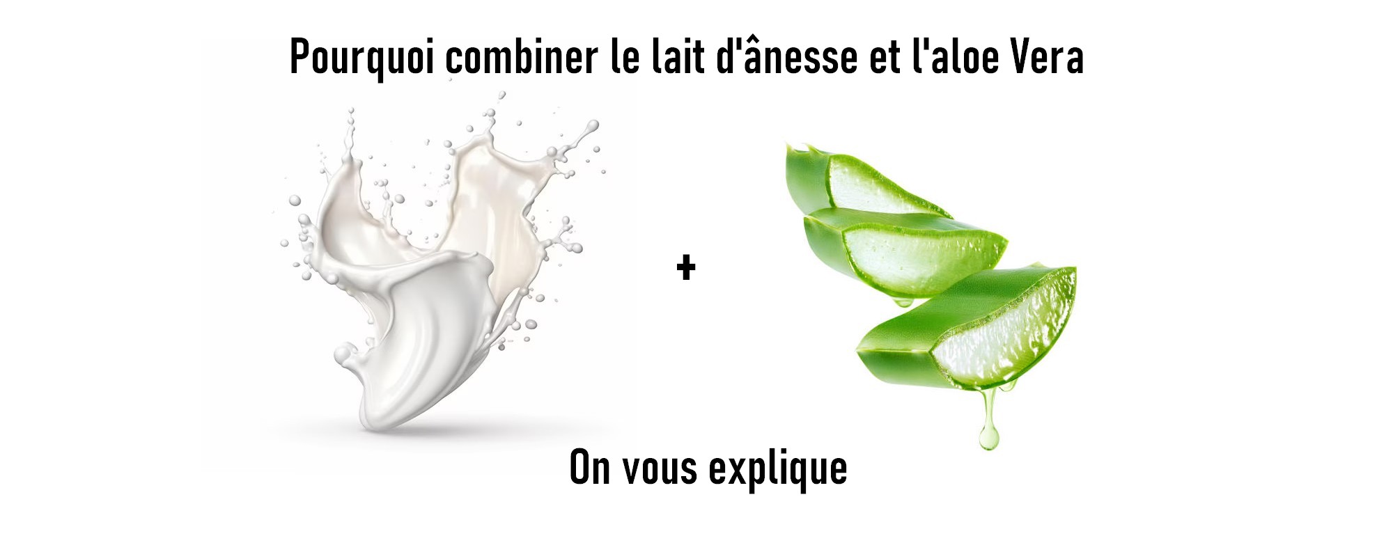 Accueil Bio Danesse >>>