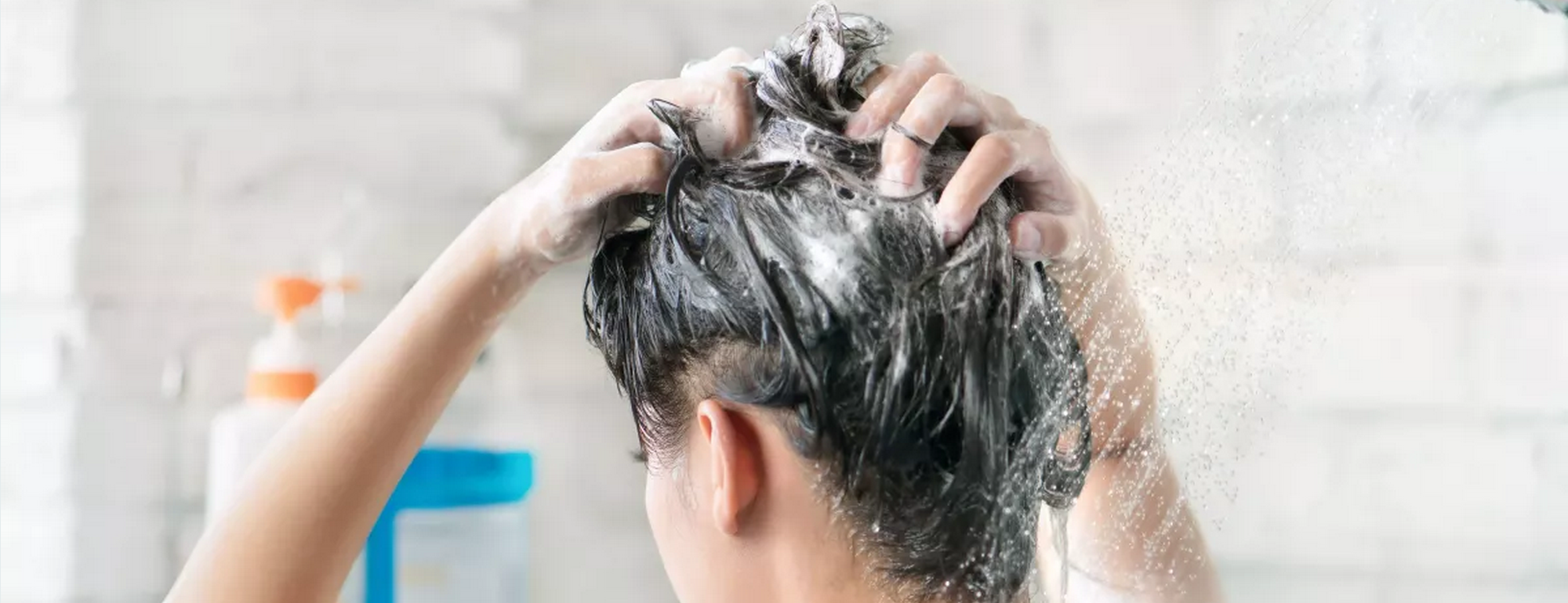 Les vertus du lait d'ânesse sur vos cheveux