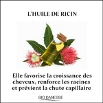 huile-de-ricin-bienfaits-pour-cheveux