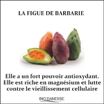 figue-de-barbarie-pour-la-peau