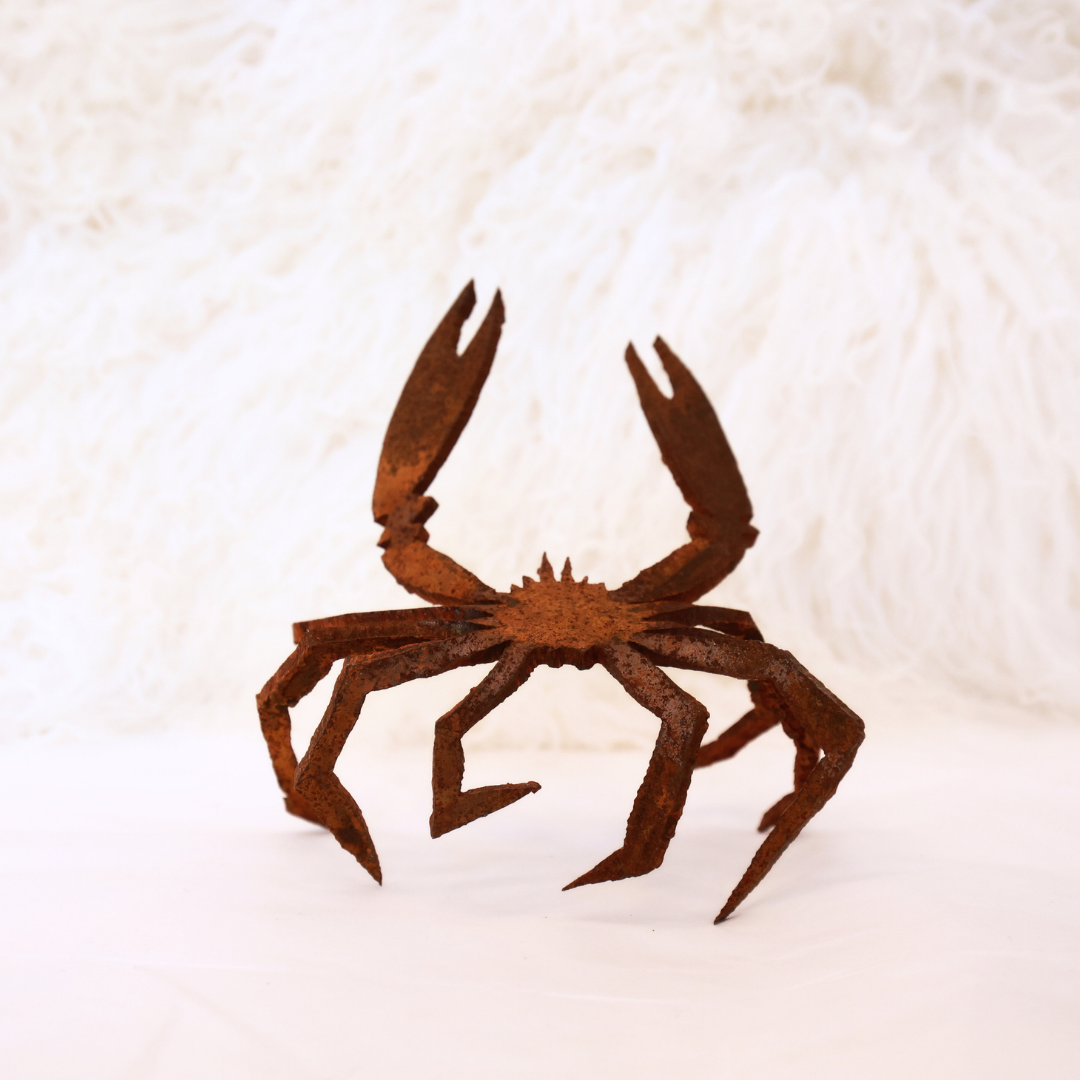 Crabe rouillé araignée Blanc