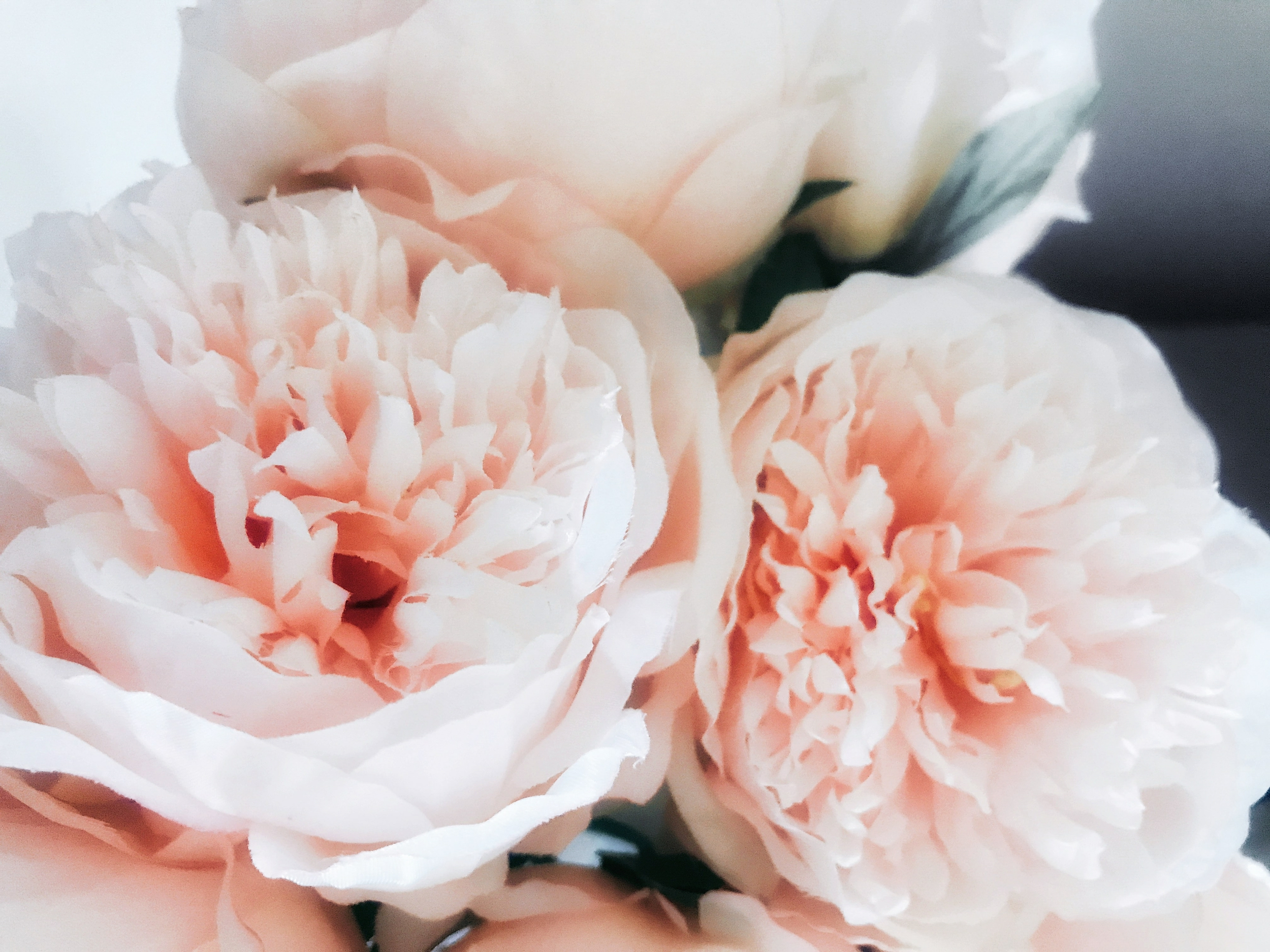 coco tafoya ev ox9hf620 unsplash 1