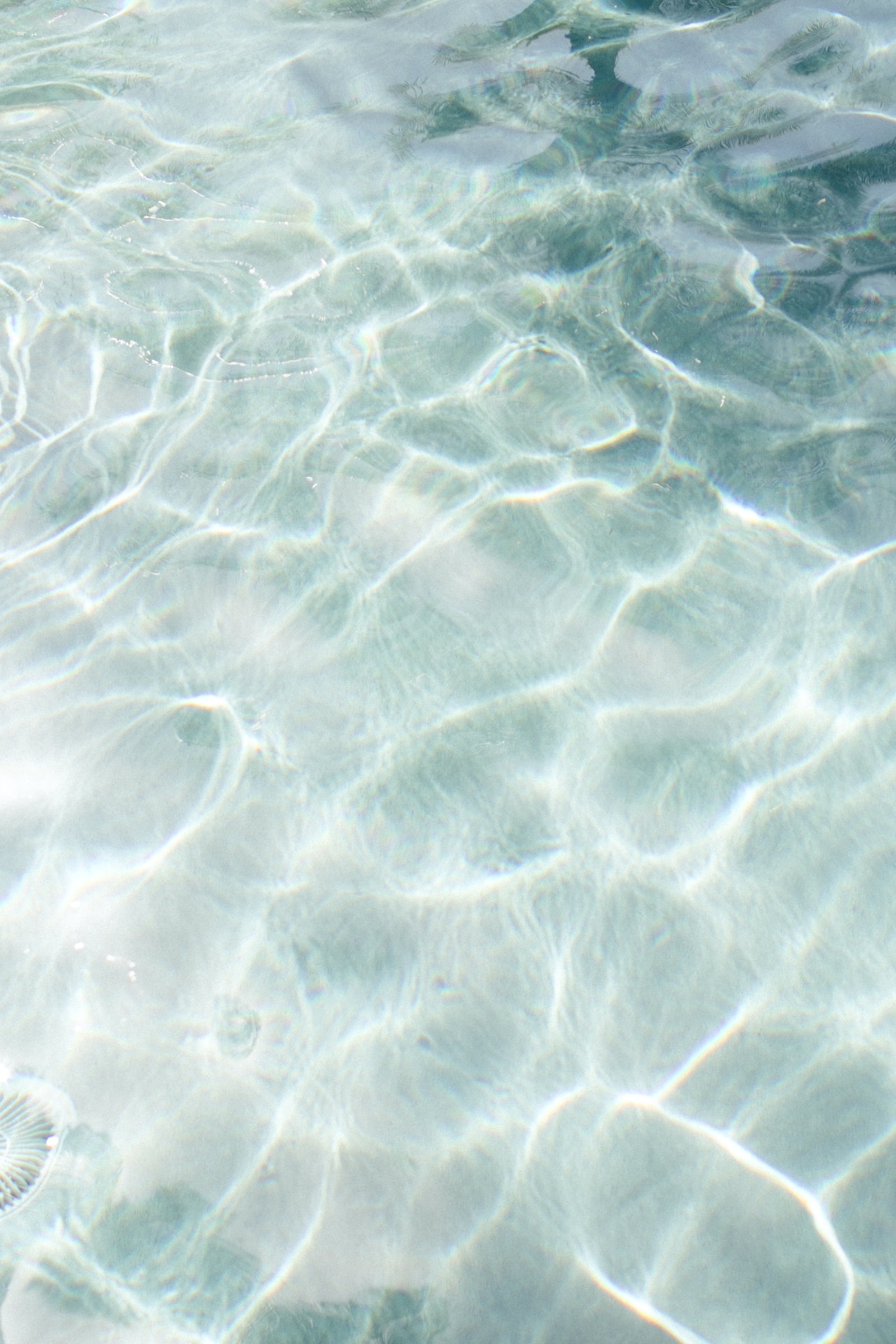 marissa rodriguez 2mkyevga4je unsplash