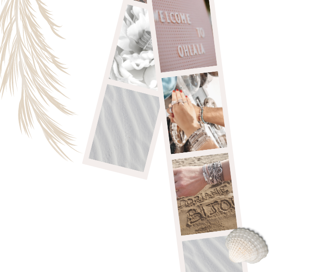 concours mensuel instagram pellicule photos coquillage pampa