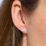 BO0769-05-_426-z