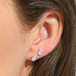 BO0779-BO0771_441-z