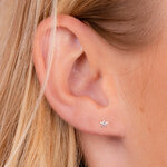 BO0228-03BL-z