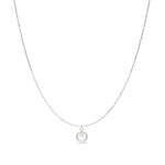 CO8895 copie