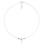 CO8253BS copie