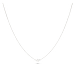CO8096 copie