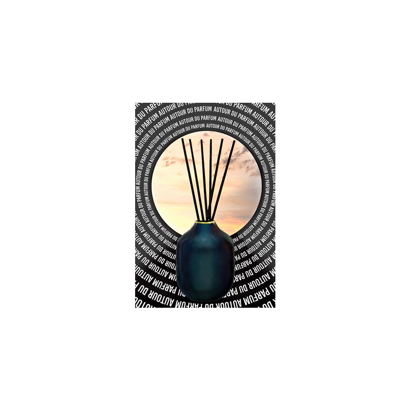 vase-pour-bouquet-parfume bleu nuit (1)