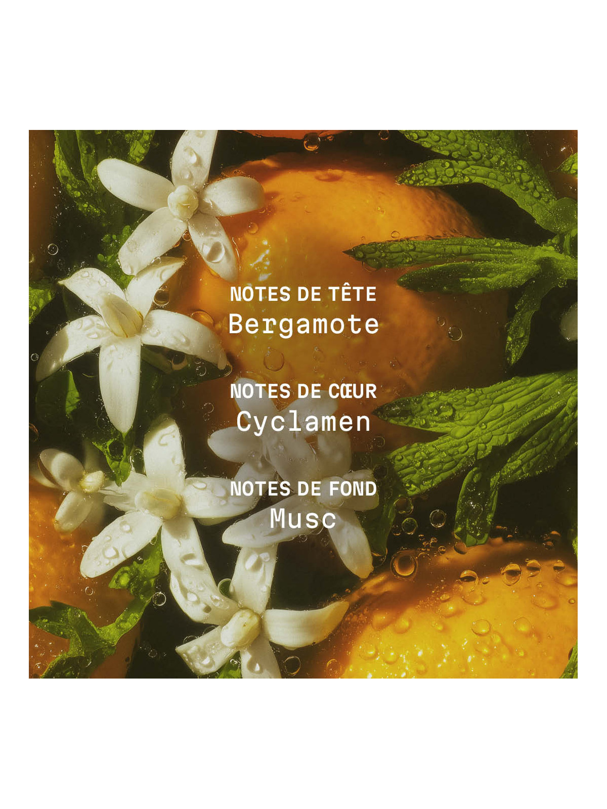 Eau de parfum Zeste Riviera - Panier des Sens