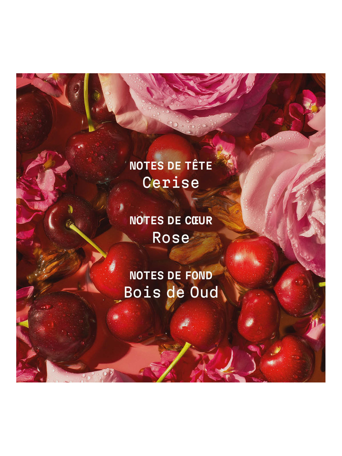 creme-corps- rose -des-bastides-150ml (3)