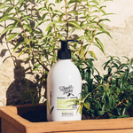 theophile-berthon-savon-provence-verveine4