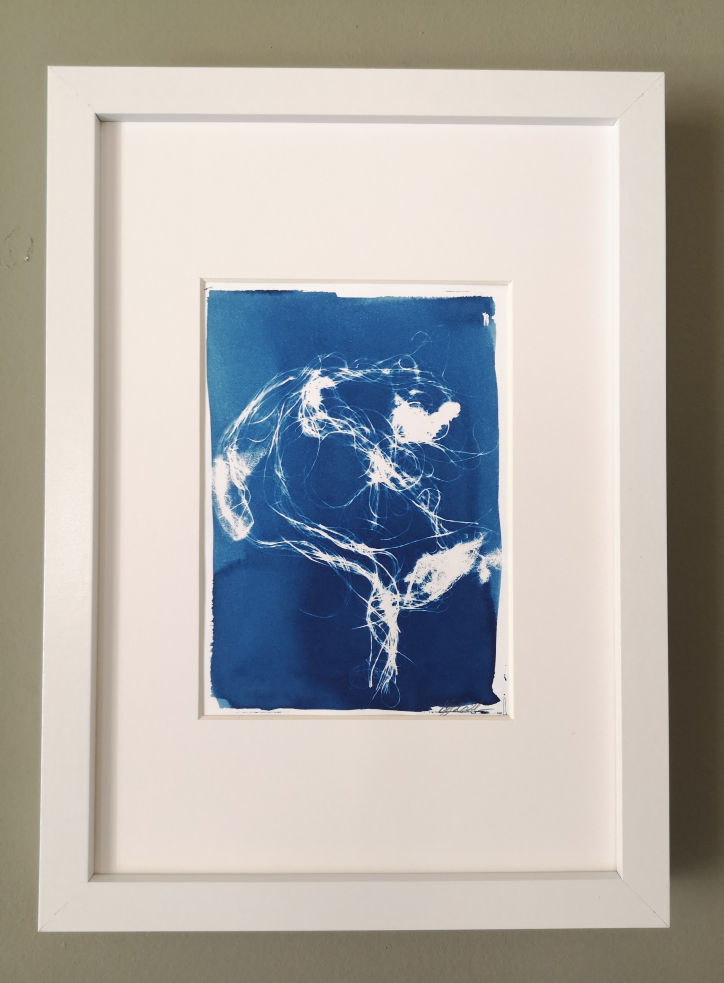 Anima, Verdegrine, Cyanotype