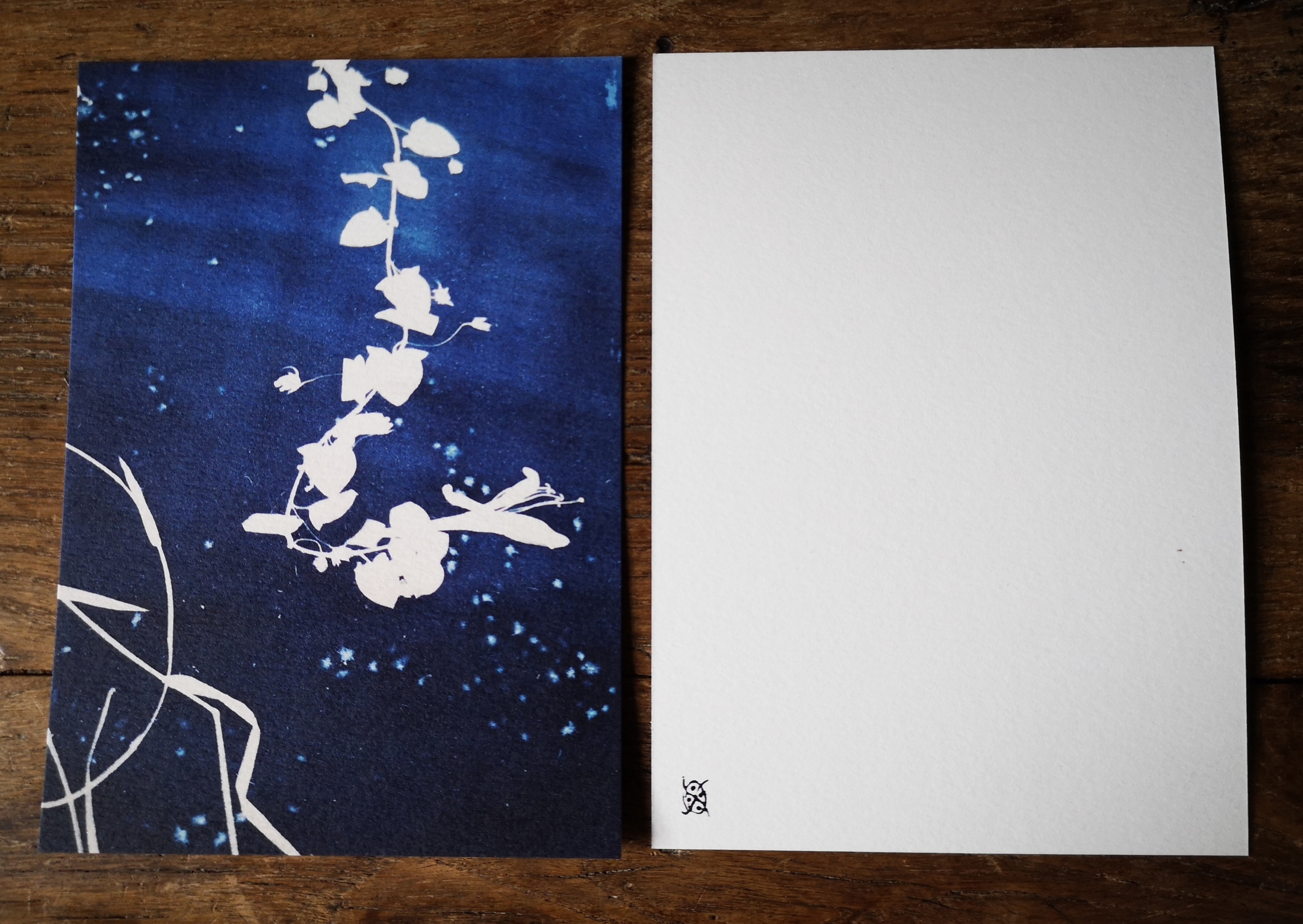 Verdegrine - carte postale - postcard - cyanotype