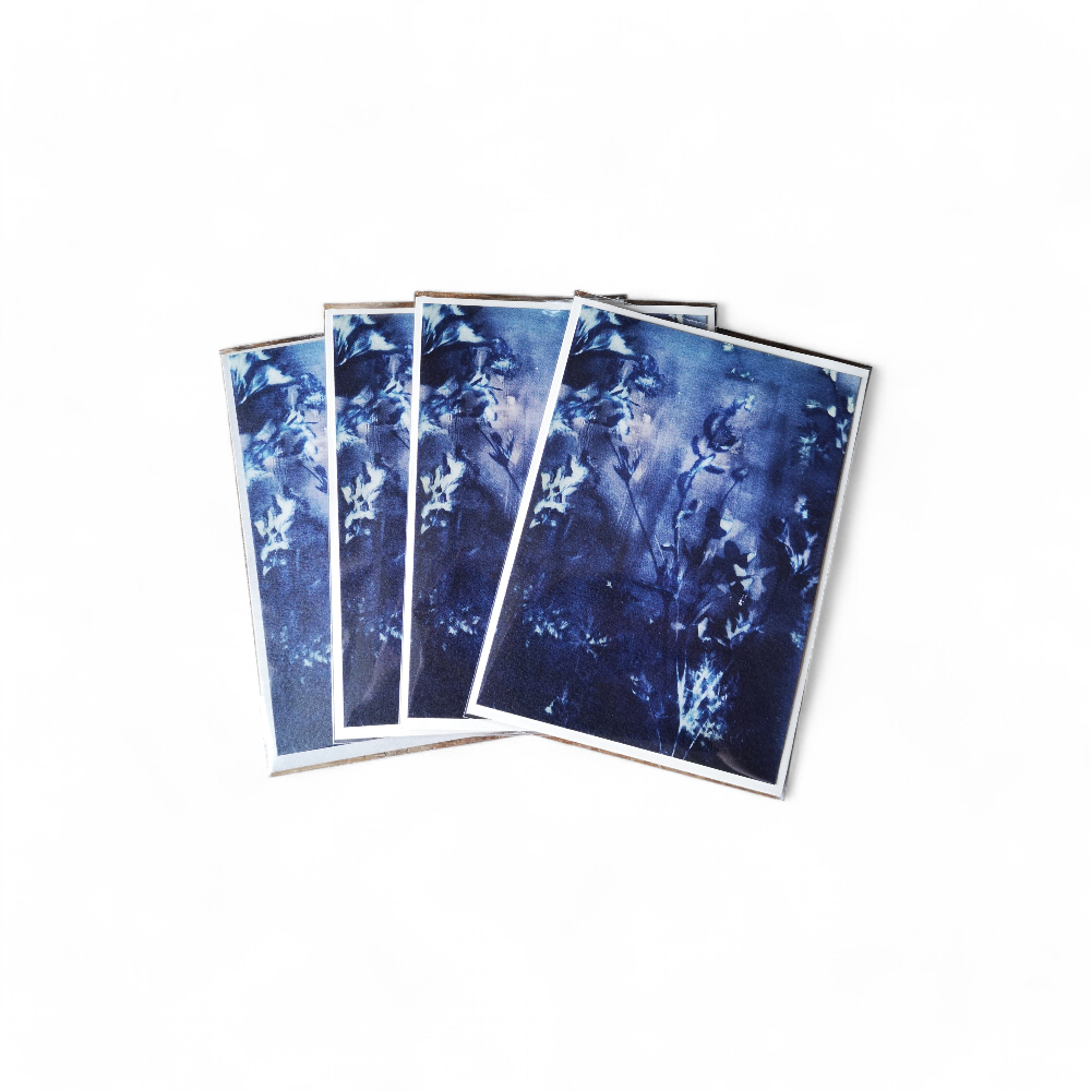 carte-postale-postcard-verdegrine