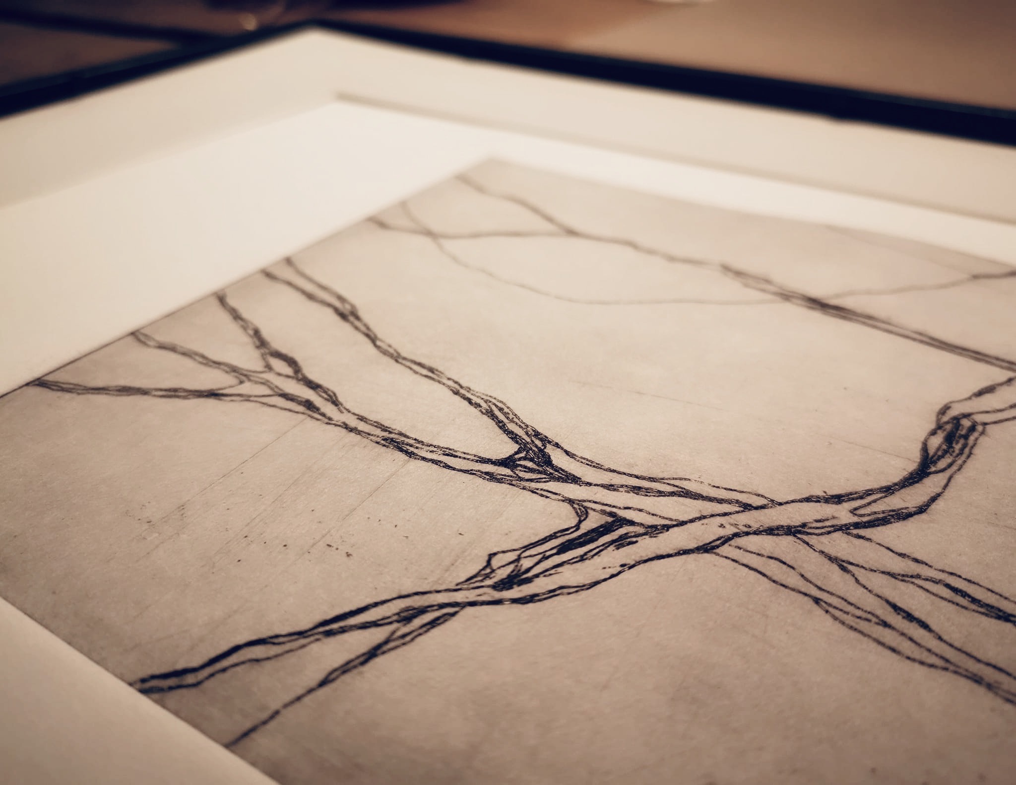 verdegrine estampe gravure a l eau forte
