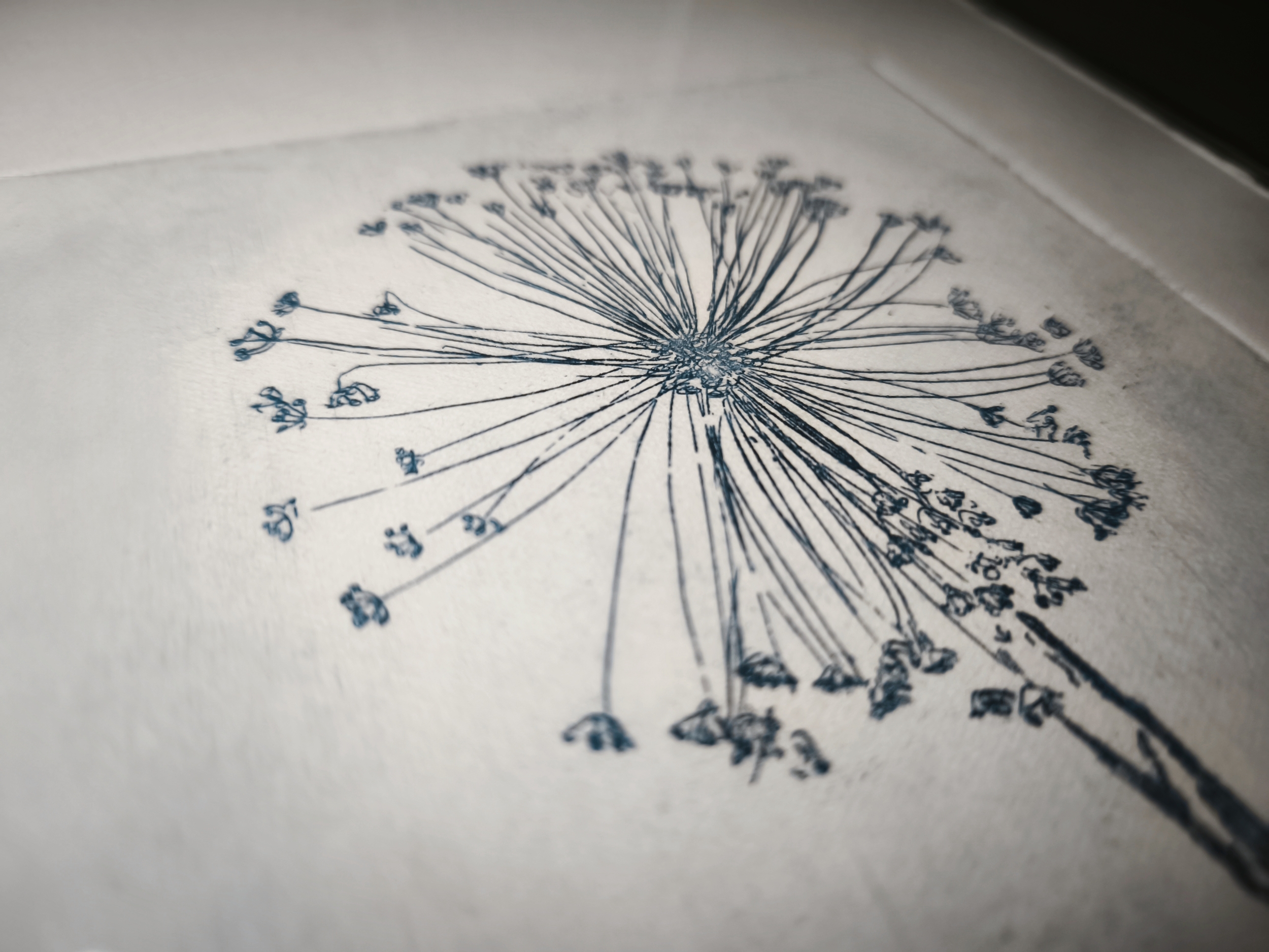 Brin de nature, Verdegrine, Gravure
