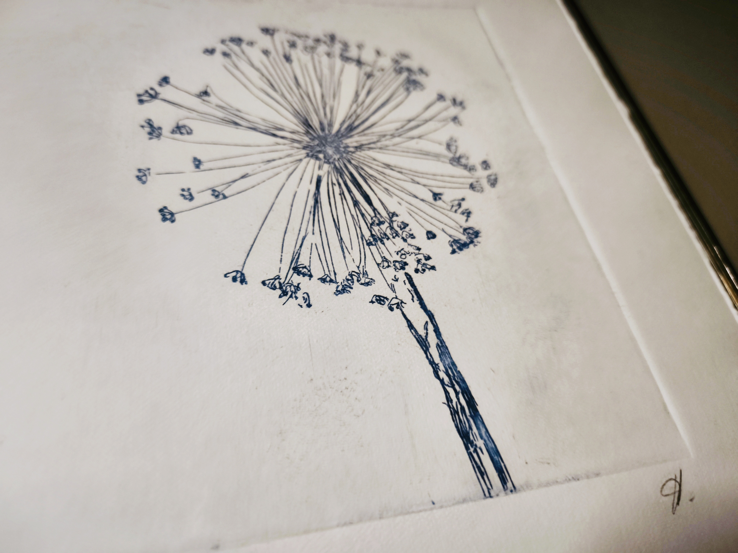 Brin de nature, Verdegrine, Détails gravure