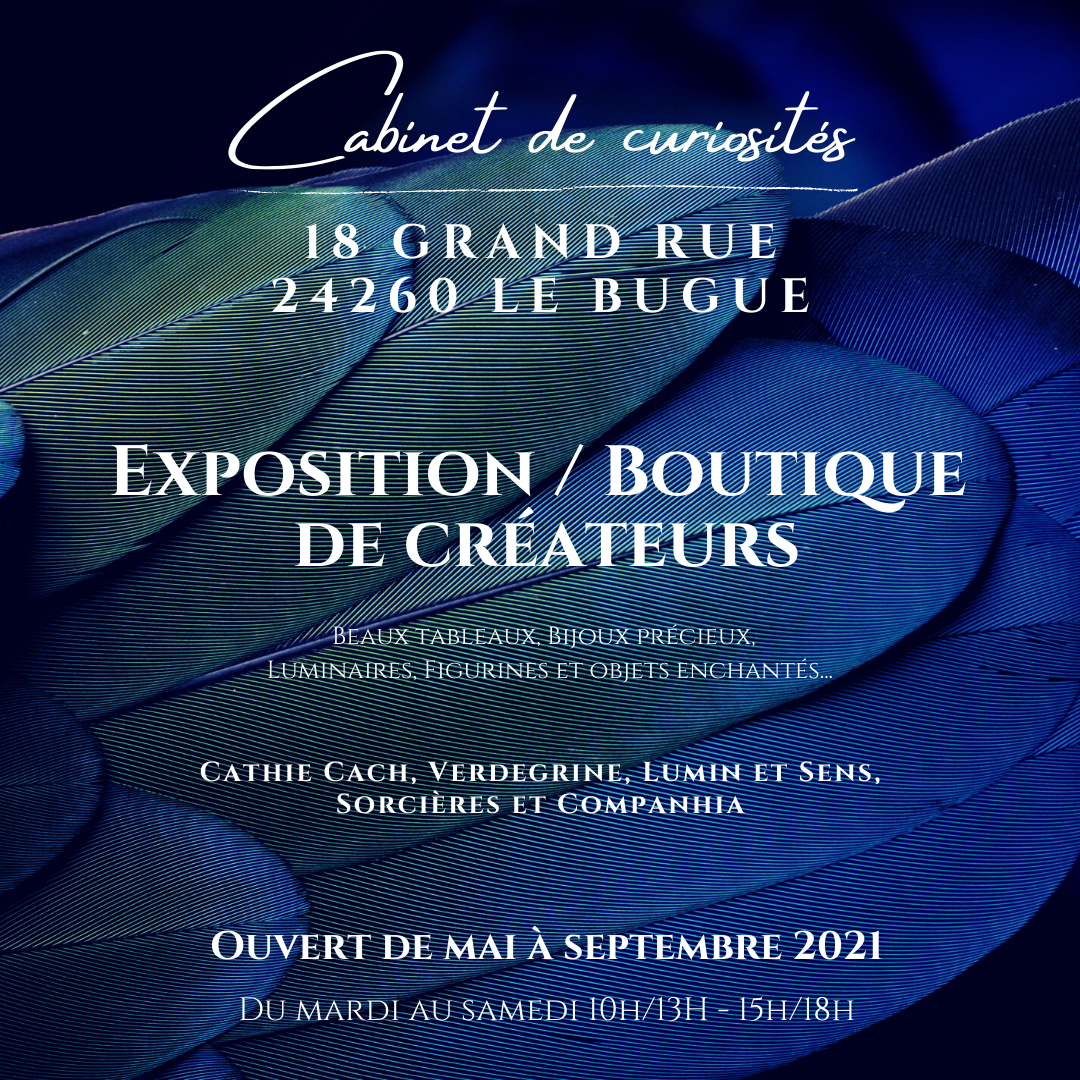 cabinet de curiosites le bugue verdegrine boutique createurs