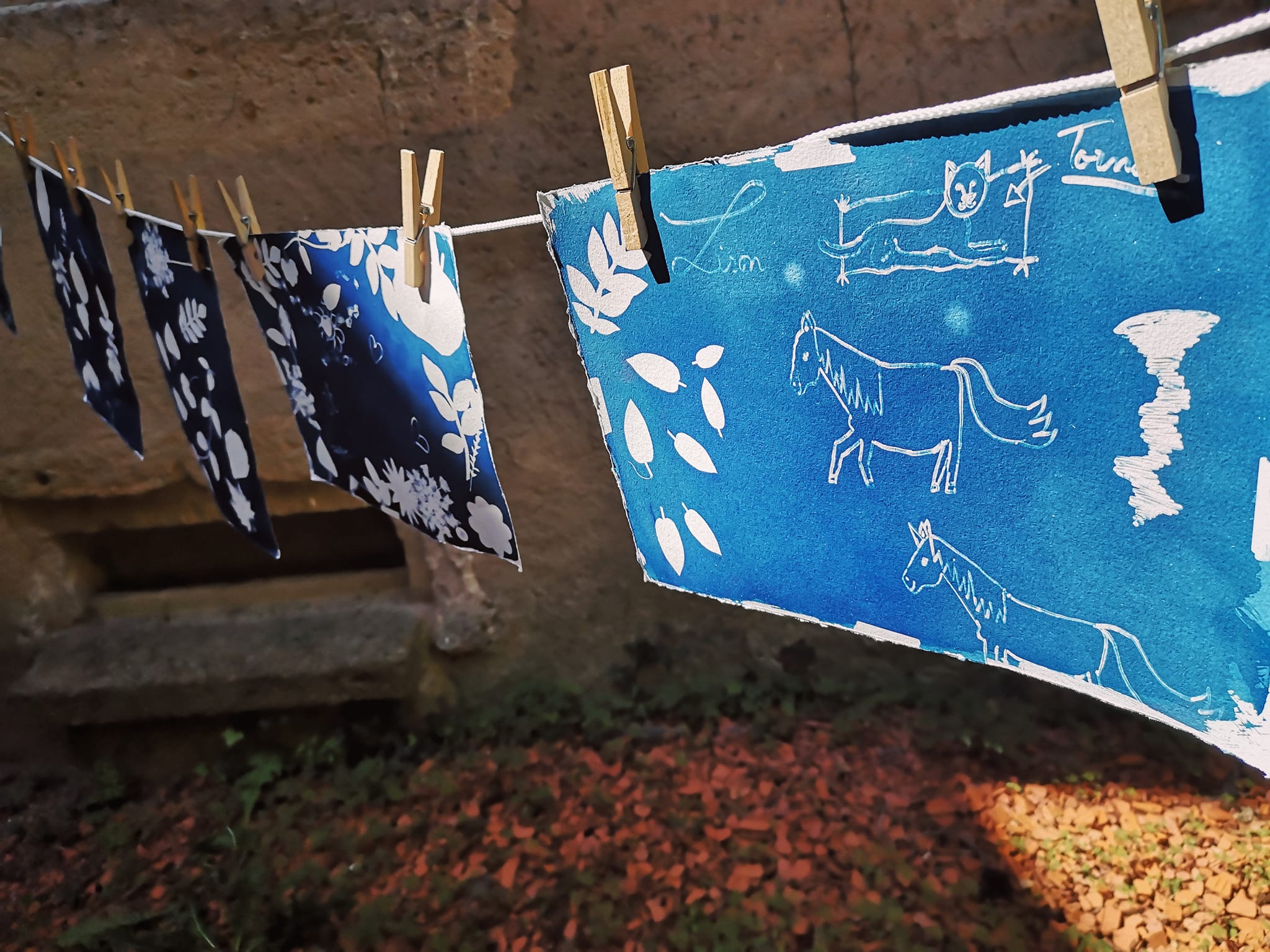 atelier cyanotype verdegrine dorodgne bergerac musee du tabac