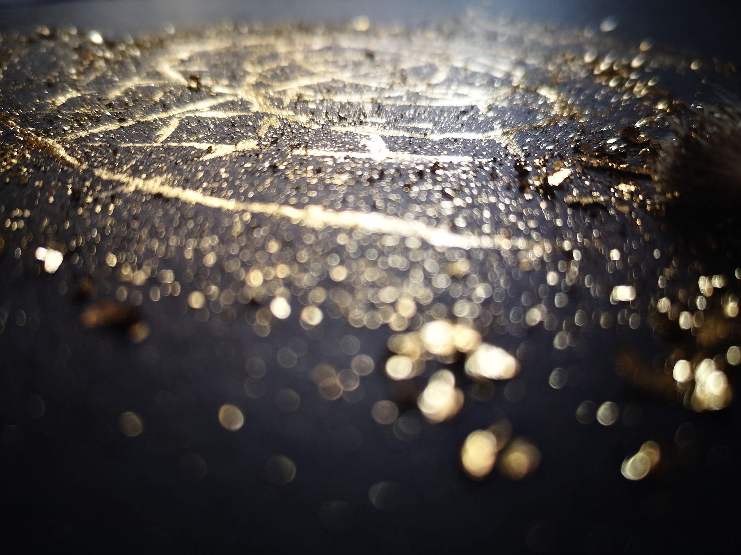 verdegrine gold leaf illustration atelier