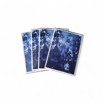 carte-postale-postcard-verdegrine