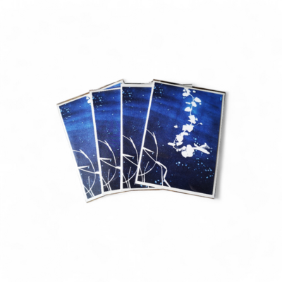 blue-carte-postale-verdegrine