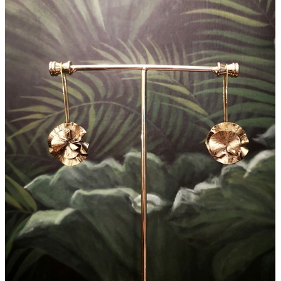Boucles nénuphars, Verdegrine