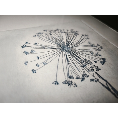 Brin de nature, Verdegrine, Gravure