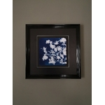 Abysse, Verdegrine, Cyanotype
