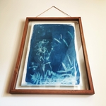 Cyanotype, Verdegrine, Miaky