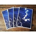 Blue - Carte postale - Verdegrine