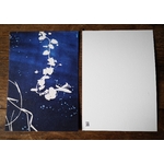 Verdegrine - carte postale - postcard - cyanotype