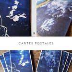 Cartes postales - Verdegrine - Cyanotype - Créations artisanales - Le Bugue - Dordogne