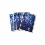carte-postale-postcard-verdegrine